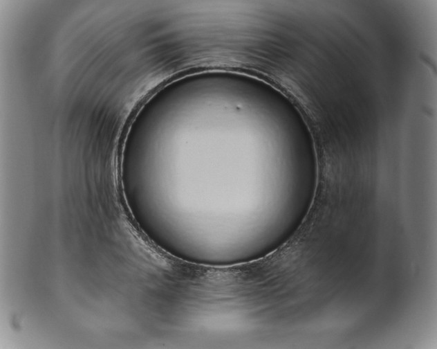 X0000101680840200807171409