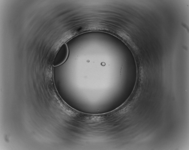 X0000101680841200807171409