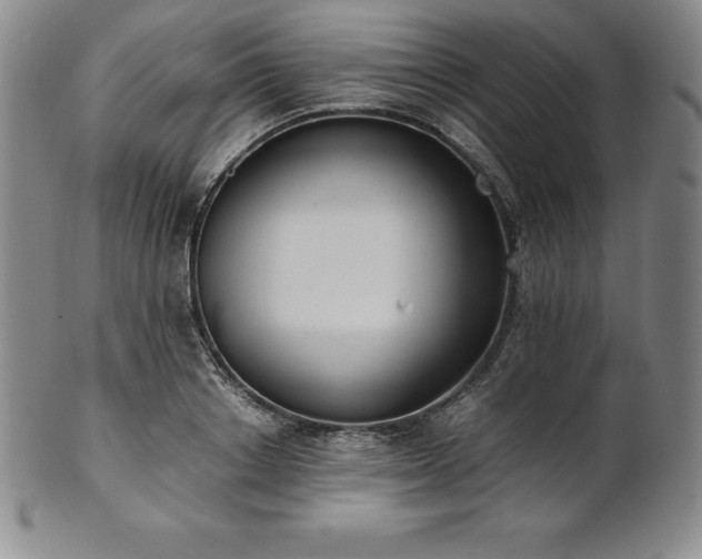 X0000101680842200807171409