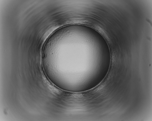 X0000101680844200807171409