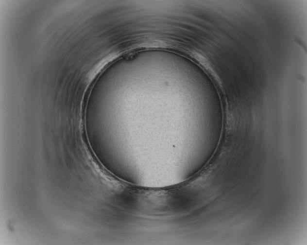 X0000101680845200807171409