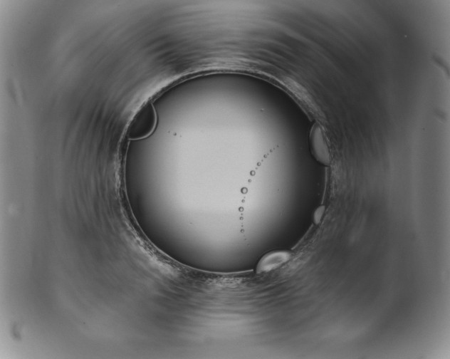 X0000101680846200807171409