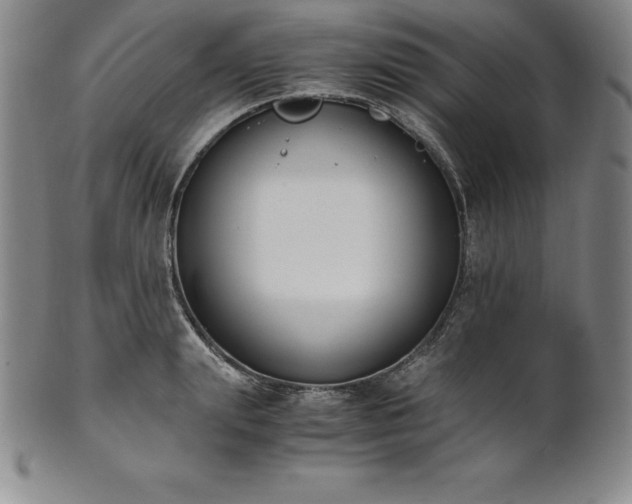 X0000101680847200807171409