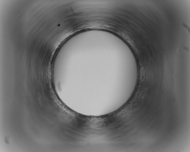 X0000101680848200807171409