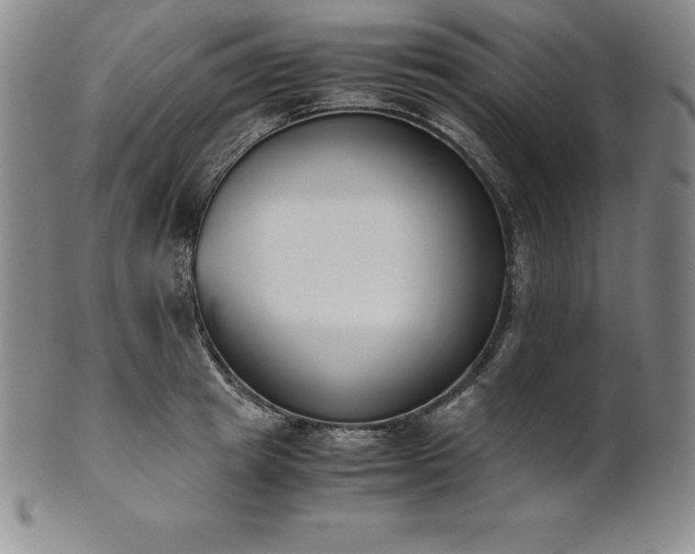 X0000101680849200807171409