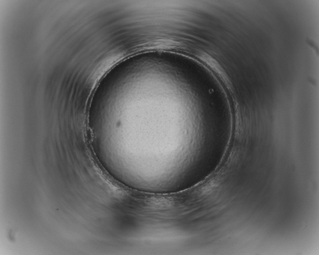 X0000101680850200807171409