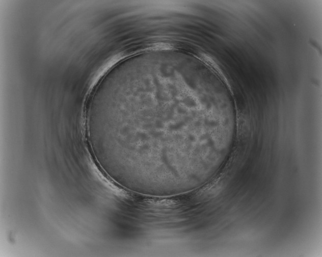 X0000101680851200807171409