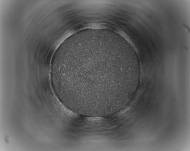 X0000101680853200807171410