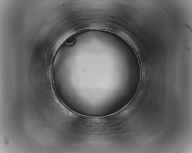 X0000101680855200807171410