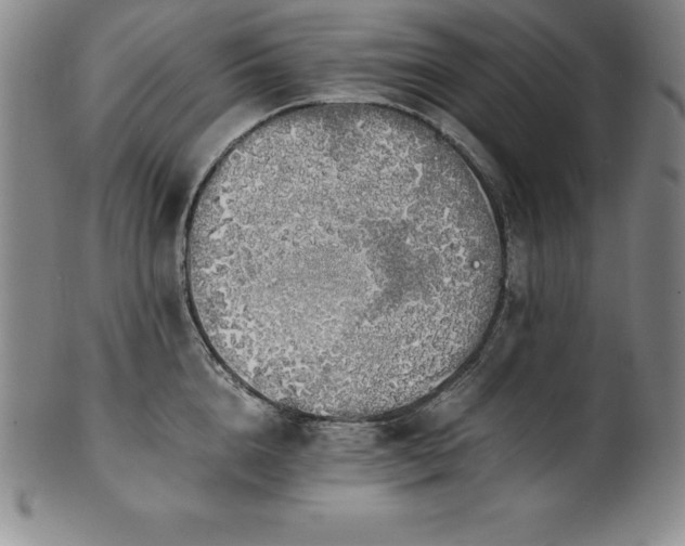 X0000101680856200807171410