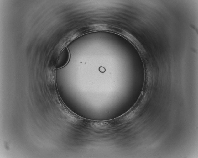 X0000101680857200807171410