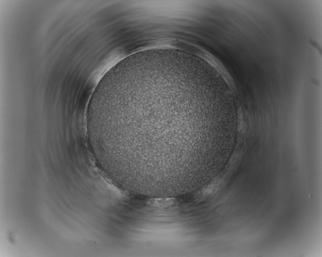 X0000101680858200807171410