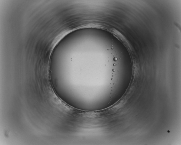 X0000101680860200807171410