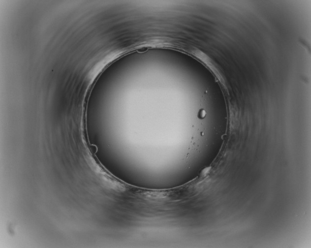 X0000101680861200807171410