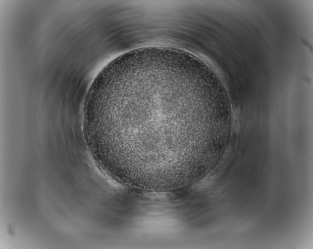 X0000101680862200807171410