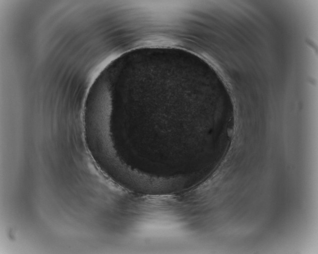 X0000101680864200807171410