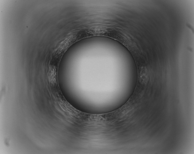 X0000101680866200807171409