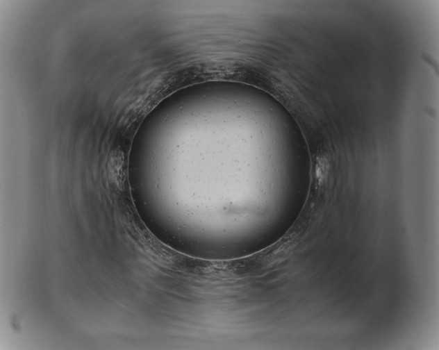 X0000101680867200807171409