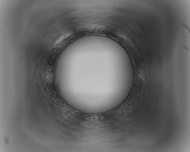 X0000101680869200807171409