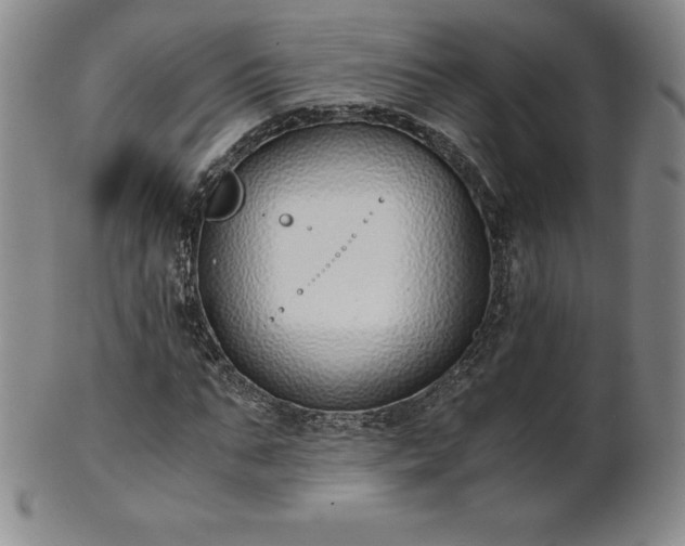 X0000101680871200807171409