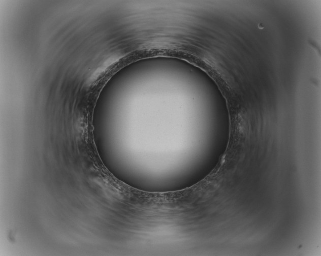 X0000101680872200807171409