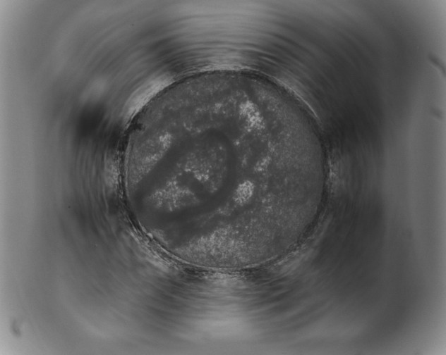 X0000101680874200807171409