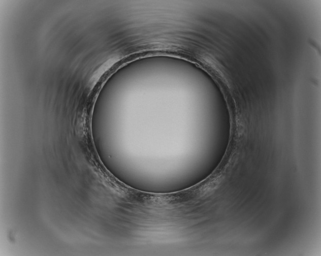 X0000101680875200807171409