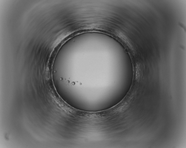 X0000101680876200807171409