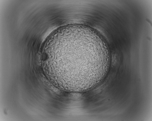 X0000101680878200807171409