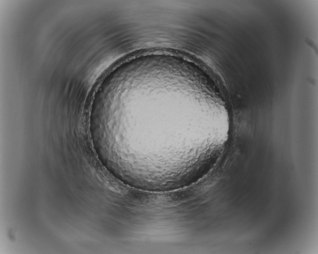 X0000101680879200807171409