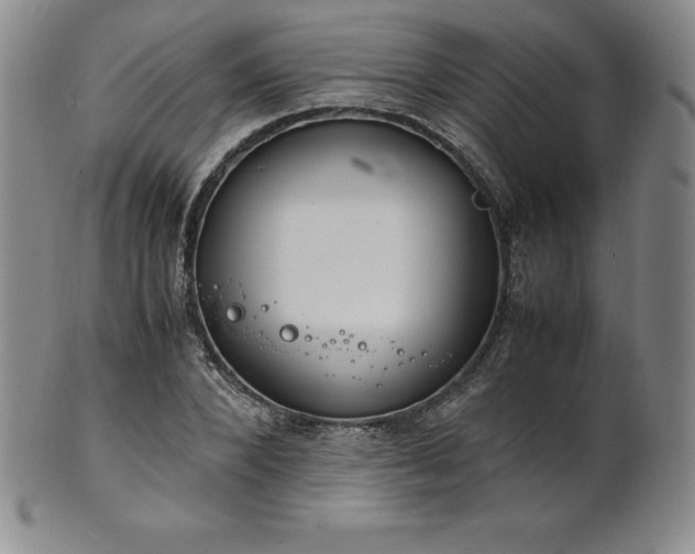 X0000101680880200807171409