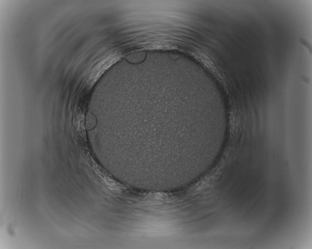 X0000101680881200807171409