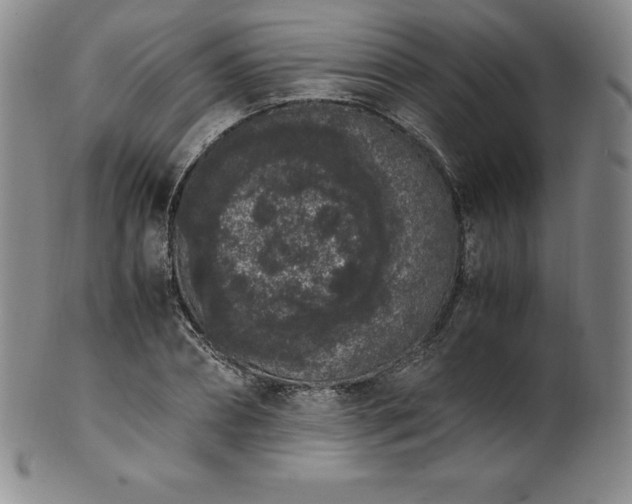 X0000101680882200807171409