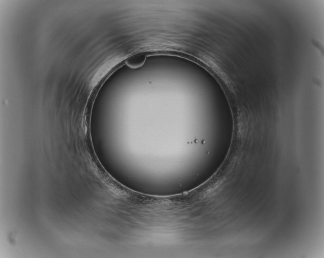 X0000101680885200807171409