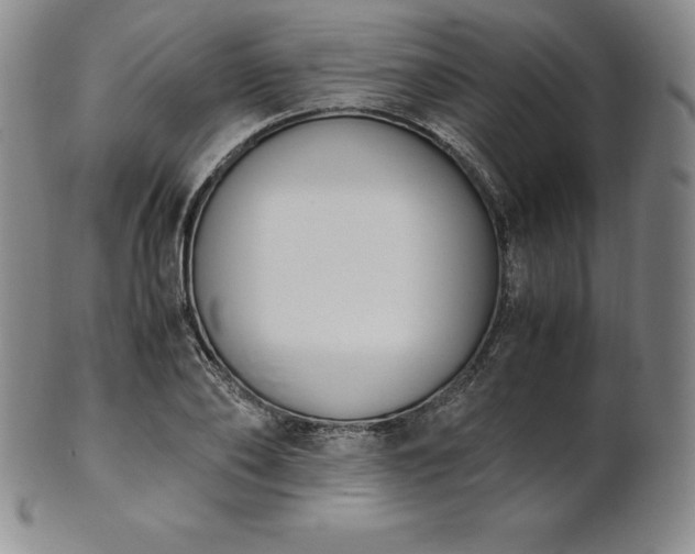 X0000101680886200807171409