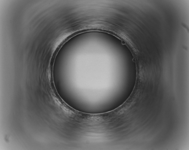 X0000101680888200807171409