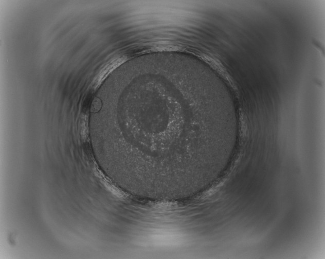 X0000101680889200807171409