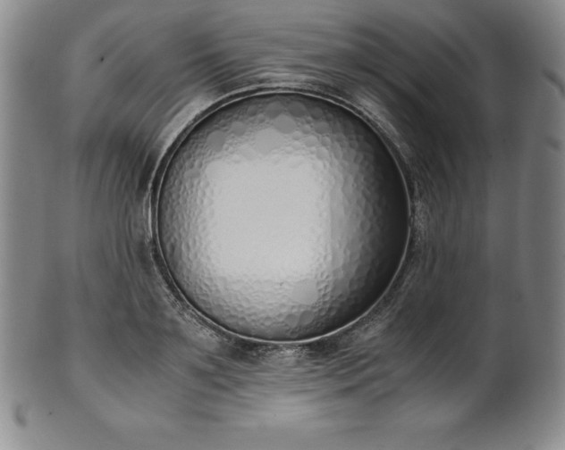 X0000101680891200807171409