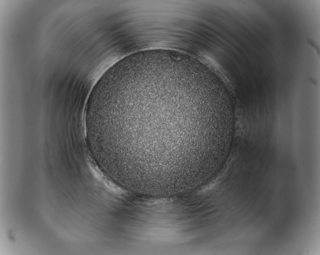 X0000101680892200807171409