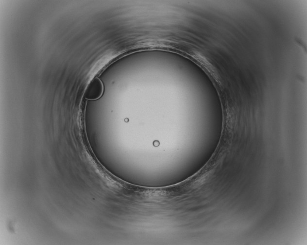 X0000101680893200807171409