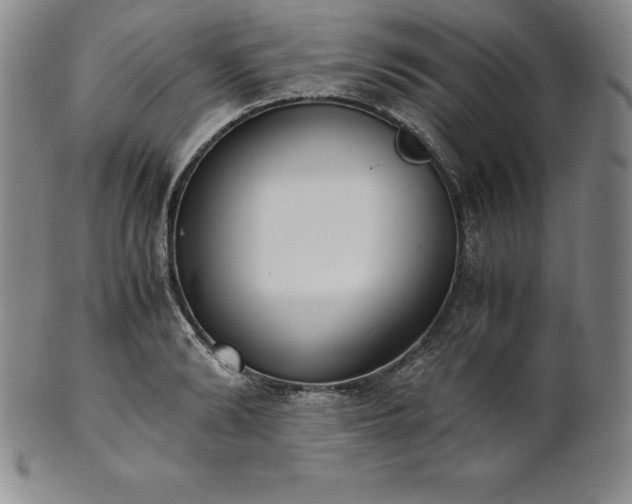 X0000101680894200807171409