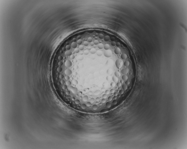 X0000101680895200807171409