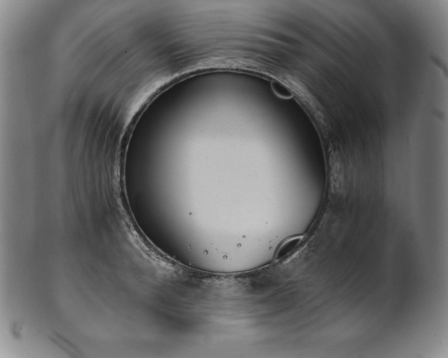 X0000101680896200807171409