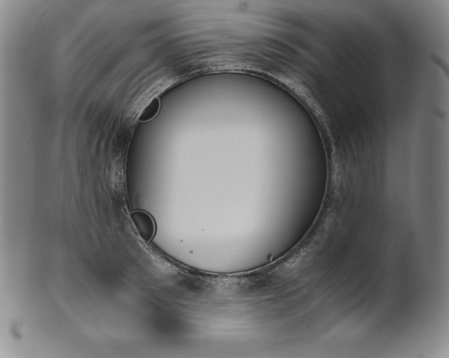 X0000101680897200807171409