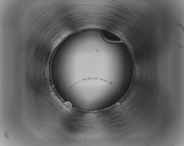 X0000101680898200807171409