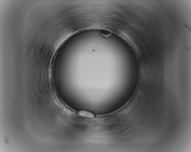 X0000101680900200807171409