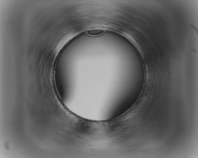 X0000101680901200807171408