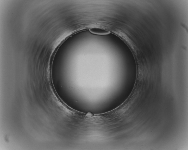 X0000101680902200807171408