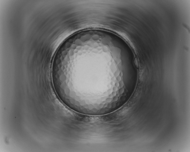 X0000101680903200807171408