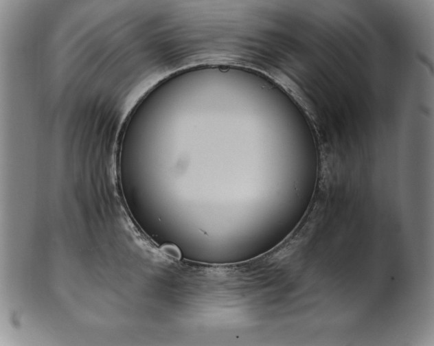 X0000101680904200807171408